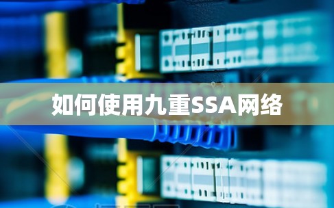 如何使用九重SSA网络