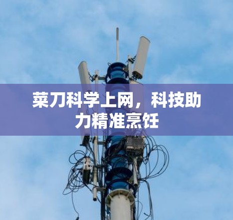 菜刀科学上网，科技助力精准烹饪