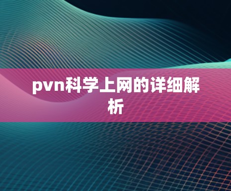 pvn科学上网的详细解析