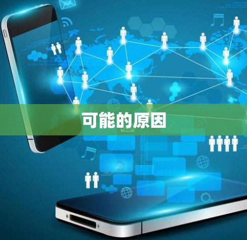 可能的原因