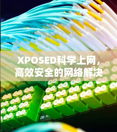 XPOSED科学上网，高效安全的网络解决方案