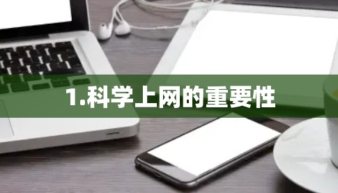 1.科学上网的重要性