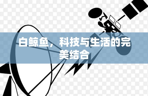 白鲸鱼，科技与生活的完美结合