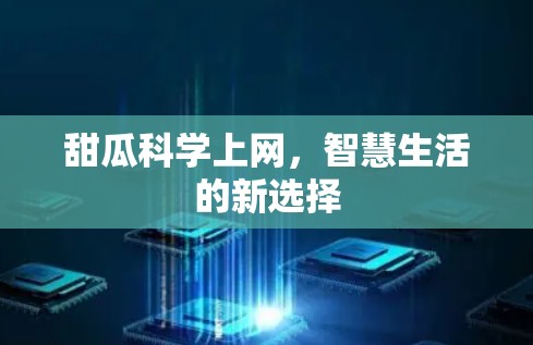 甜瓜科学上网，智慧生活的新选择