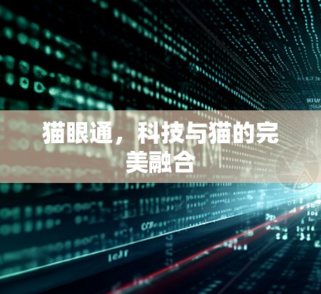 猫眼通，科技与猫的完美融合