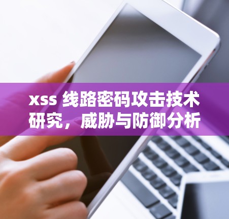 xss 线路密码攻击技术研究，威胁与防御分析