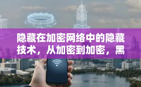 隐藏在加密网络中的隐藏技术，从加密到加密，黑科学上网的原理与应用