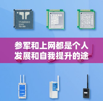 参军和上网都是个人发展和自我提升的途径，但选择哪一种取决于个人的意愿、兴趣、时间和资源限制，以及各自的风险和责任。以下是详细的分析和建议
