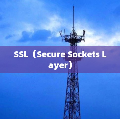 SSL（Secure Sockets Layer）