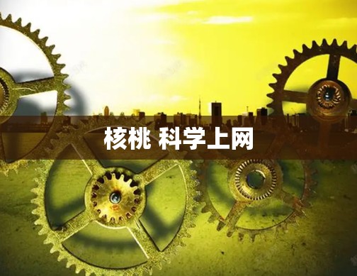 核桃 科学上网
