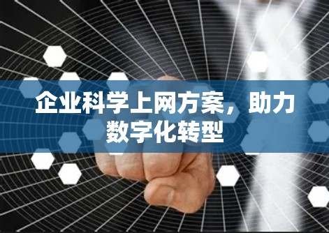 企业科学上网方案，助力数字化转型
