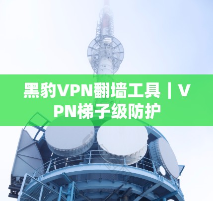 黑豹VPN翻墙工具｜VPN梯子级防护