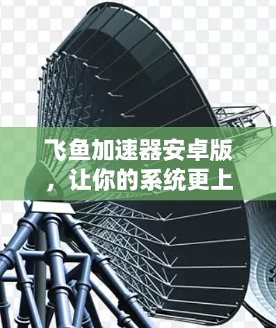 飞鱼加速器安卓版，让你的系统更上一层楼的实用工具