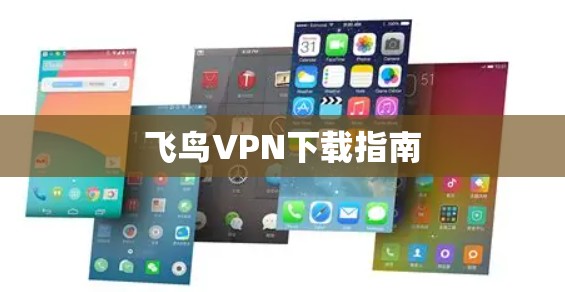 飞鸟VPN下载指南