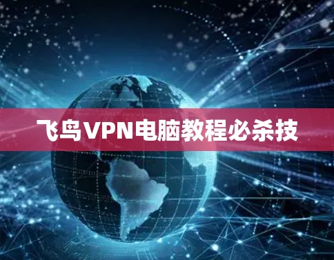 飞鸟VPN电脑教程必杀技