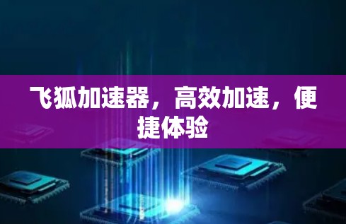 飞狐加速器，高效加速，便捷体验