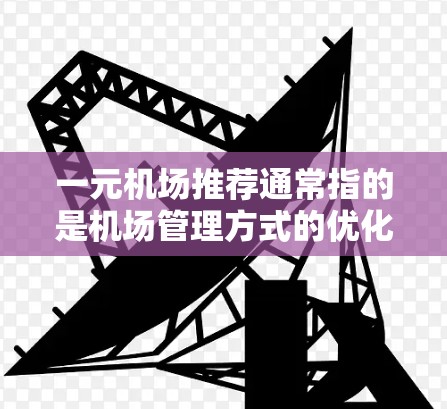 一元机场推荐通常指的是机场管理方式的优化，旨在让机场看起来更简洁、友好，或者让乘客访问更方便。以下是一些可能的推荐方向