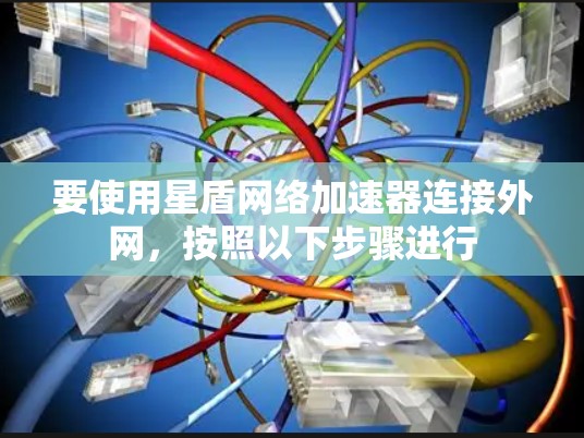 要使用星盾网络加速器连接外网，按照以下步骤进行
