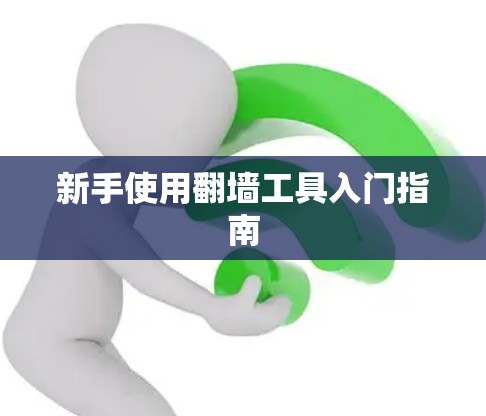 新手使用翻墙工具入门指南