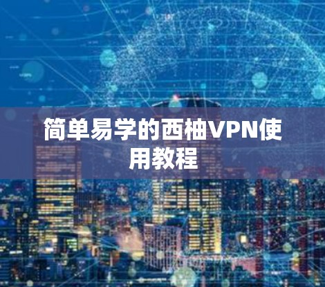 简单易学的西柚VPN使用教程