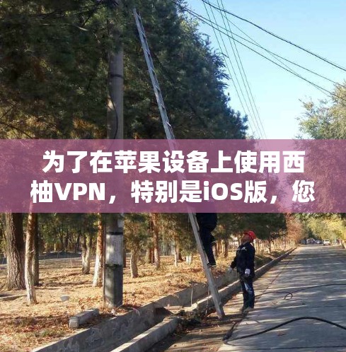 为了在苹果设备上使用西柚VPN，特别是iOS版，您可以按照以下步骤进行