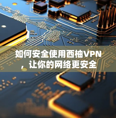 如何安全使用西柚VPN，让你的网络更安全