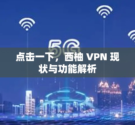 点击一下，西柚 VPN 现状与功能解析