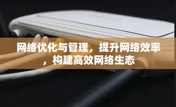 网络优化与管理，提升网络效率，构建高效网络生态