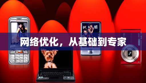 网络优化，从基础到专家