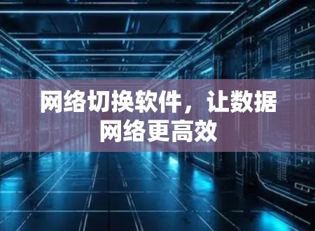 网络切换软件，让数据网络更高效