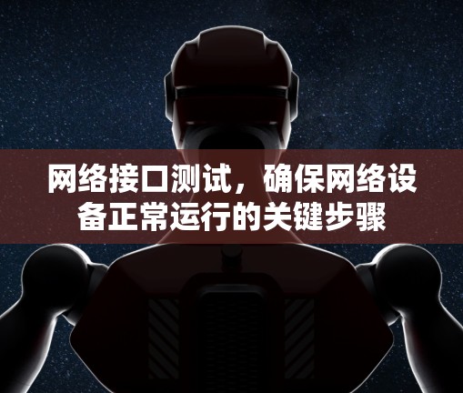 网络接口测试，确保网络设备正常运行的关键步骤