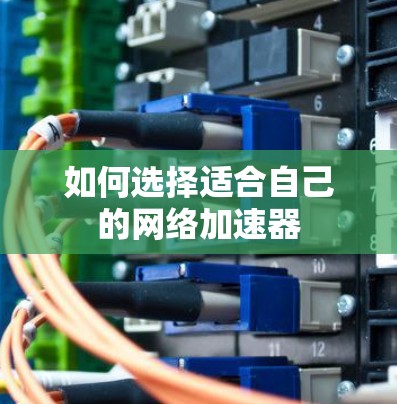 如何选择适合自己的网络加速器