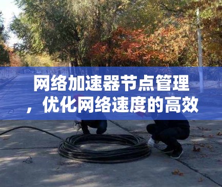 网络加速器节点管理，优化网络速度的高效指南