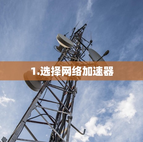 1.选择网络加速器
