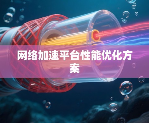 网络加速平台性能优化方案