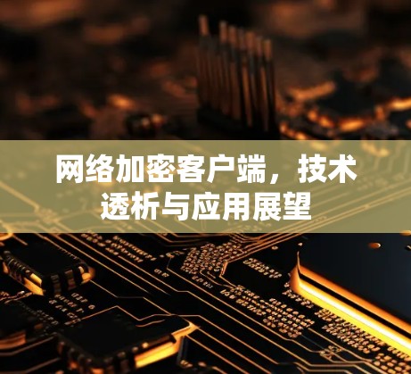 网络加密客户端，技术透析与应用展望