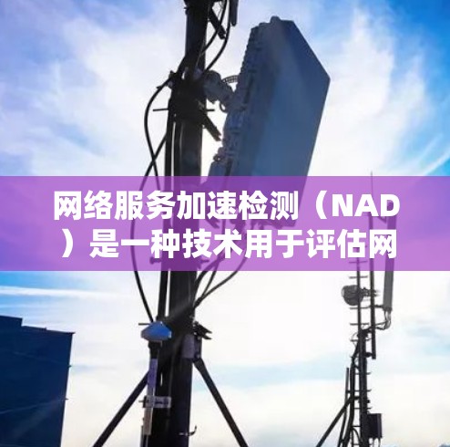 网络服务加速检测（NAD）是一种技术用于评估网络服务器是否具备处理Web应用的能力。以下是详细的步骤和信息