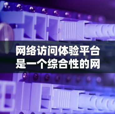 网络访问体验平台是一个综合性的网络访问工具，旨在为用户提供高效、安全、便捷的网络服务访问体验。以下是对该平台的详细总结和分析