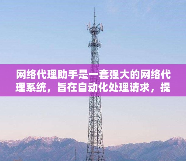 网络代理助手是一套强大的网络代理系统，旨在自动化处理请求，提高处理效率。以下是对该工具的详细分析和总结
