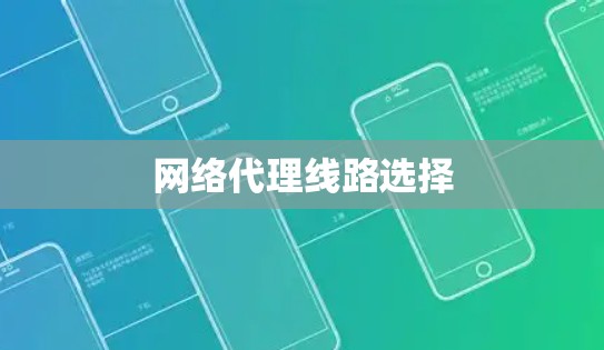 网络代理线路选择