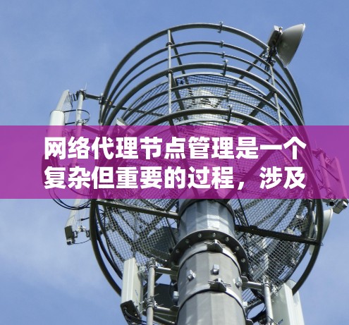 网络代理节点管理是一个复杂但重要的过程，涉及多个步骤和概念。以下是对网络代理节点管理的详细总结