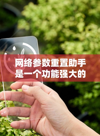 网络参数重置助手是一个功能强大的工具，旨在帮助用户重新设置网络设备的参数。以下是对该工具的详细介绍