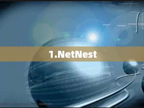 1.NetNest