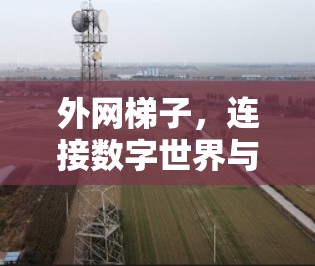外网梯子，连接数字世界与现实世界的桥梁