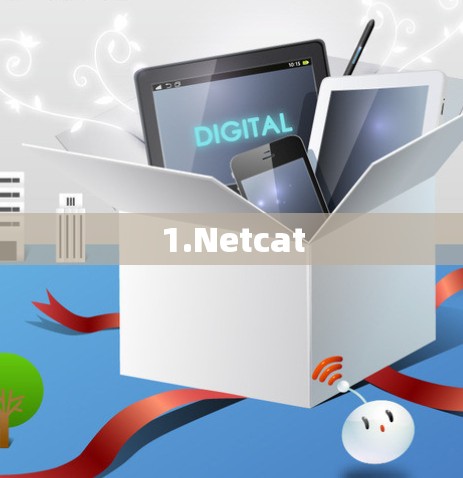 1.Netcat