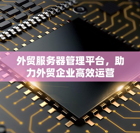 外贸服务器管理平台，助力外贸企业高效运营